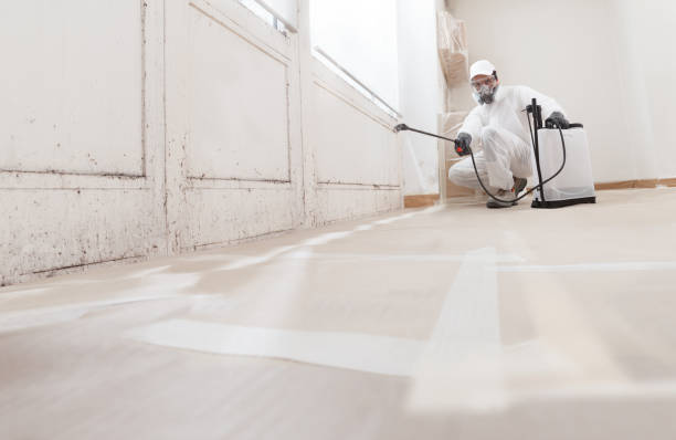24/7 Emergency Bathroom Mold Removal experts in Hacksneck, VA